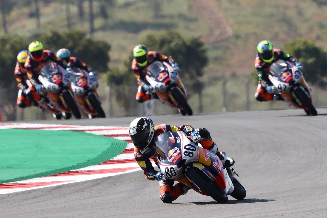 david alonso red bull rookies cup
